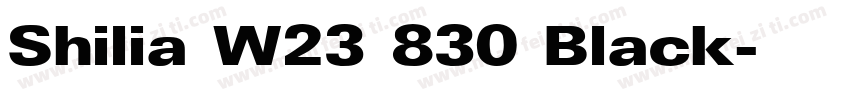Shilia W23 830 Black字体转换
